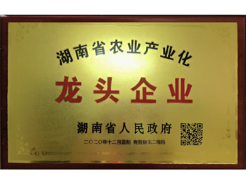 岳陽市漁之源食品有限公司,岳港漁都,洞庭魚港,散稱系列,田螺系列,臭豆腐加工，香豆腐加工，烤脖加工，魚仔,鴨排加工、雞丁加工代加工